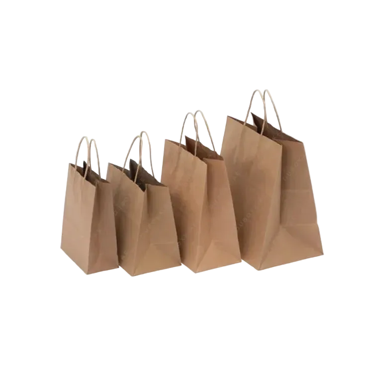Kraft Paper Bags Twisted Handle - 100Gsm - Brown